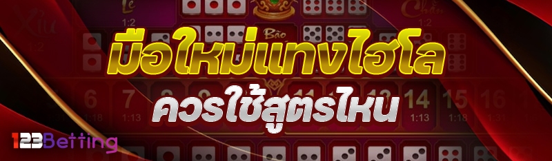 มือใหม่แทงไฮโล ควรใช้สูตรไหน